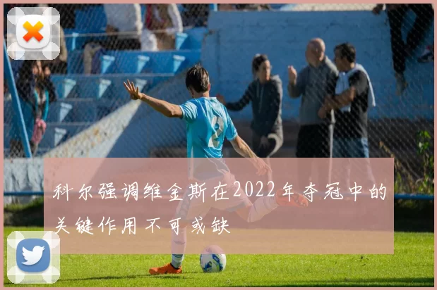 科尔强调维金斯在2022年夺冠中的关键作用不可或缺